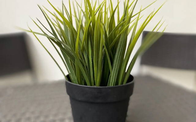 Kapri KHaus-Madrid Park-2 (4) Apartments