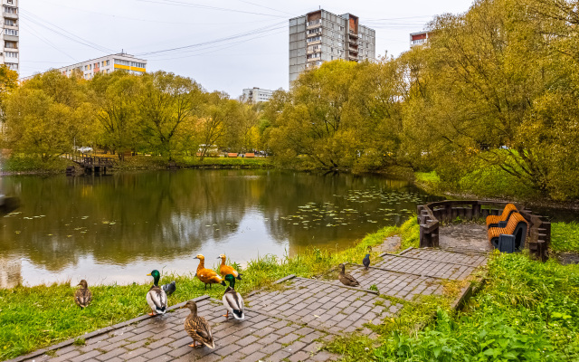 Uyutnaya Ryadom S Kulakova Rdkb Universitetom Mvd I Rudn Flat