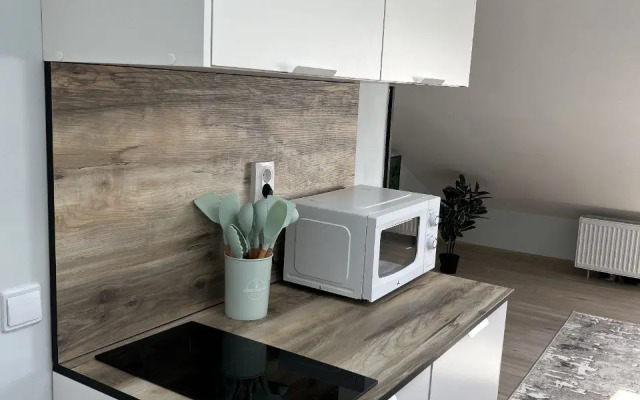 Апартаменты Душевная Студия - Мансарда в Центре Ломоносова