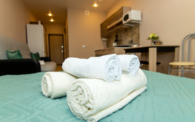 V Staroy Kupavne Studio apartment