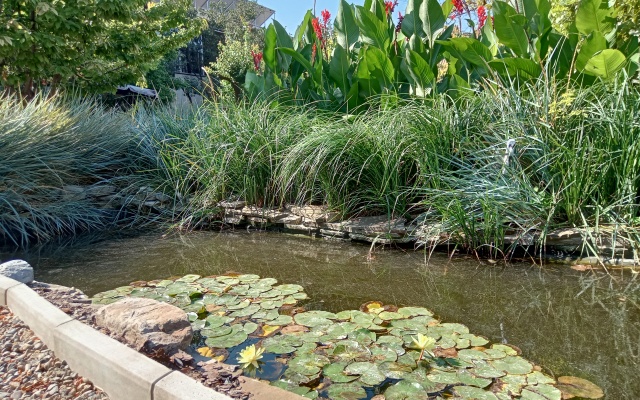 Seavilliya Park