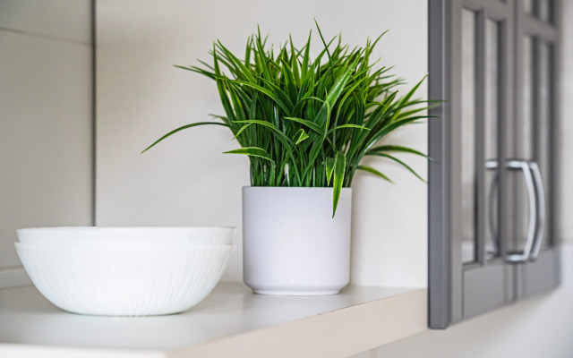 Amber Holiday Apartments