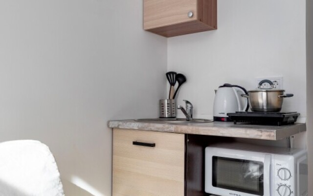 Apartamenty Obvodny 203 (1)
