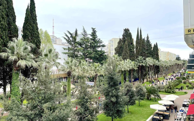 Апартаменты inSochi в центре с видом на Навагинскую N303