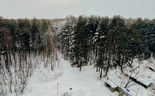 Квартира с видом на сосновый лес Идеально для семьи Уютно Ижевск