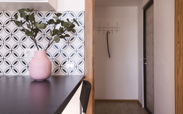 Studia Zheltaya v Poselke Pesochnom Flat