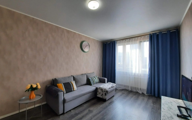 The Loft Dvukhkomnatnye Na Yubileynom Pr 66 Apartments