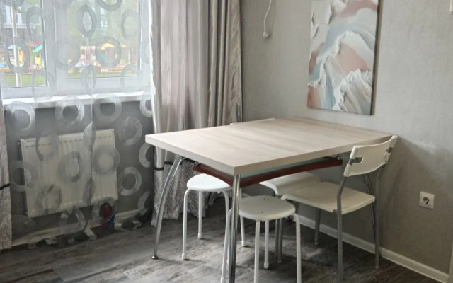 U Ledovogo Dvortsa Apartments