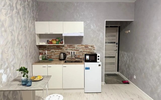 Vidovaya Studiya Aeroport Tolmachevo Apartments