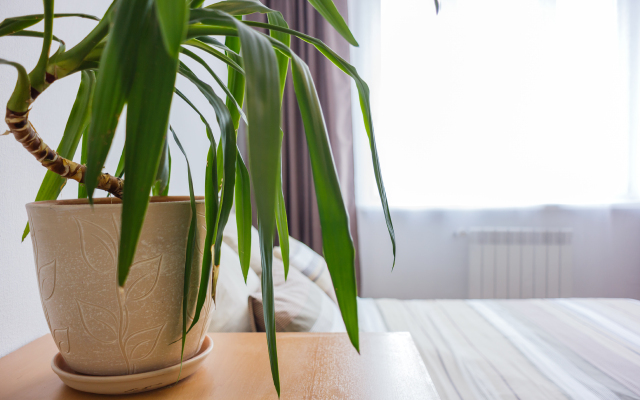 Квартира ApartHause уют и комфорт в ЖК Малевич