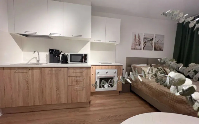 Nevabed Na Gudilovskoy 9 Apartments