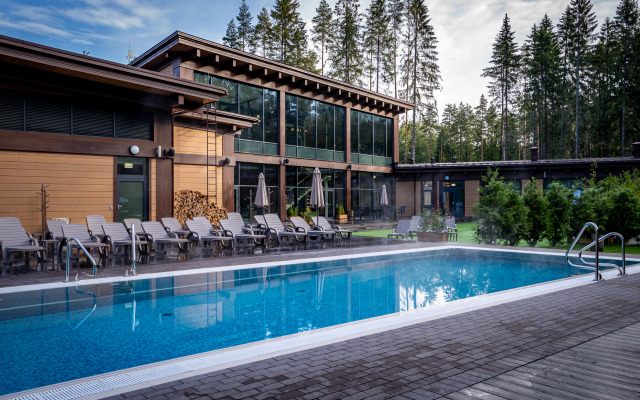 Okhta park Chalet