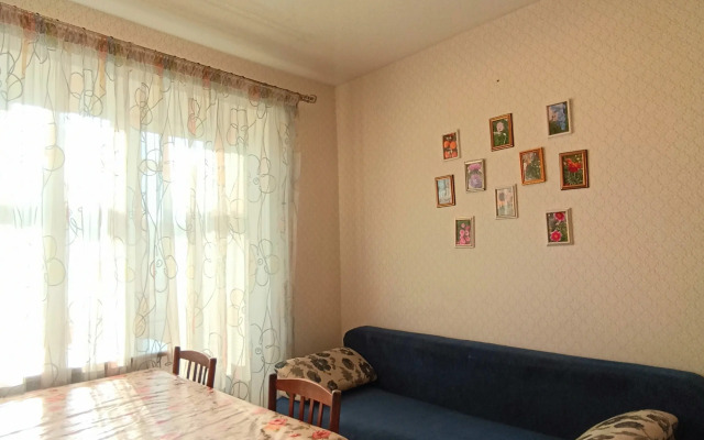 Uyutnaya 2-Kh V Samom Tsentre Goroda Yakutsk Flat