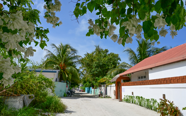 Гостевой дом Thulusdhoo Inn