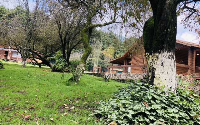 EcoCamp Ajusco Rotamundos Camping