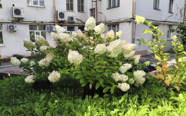 Квартира Двухкомнатная в Центре Втузгородка Ленина- 103