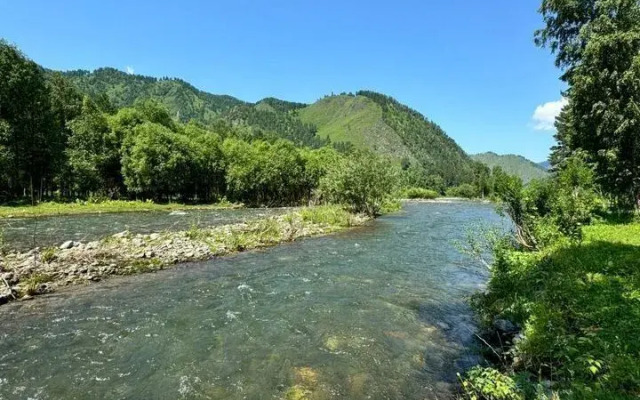 Chastny Dom Ail "tyalan"