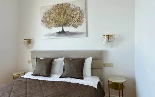 Graf Tolstoy Flat