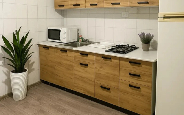 Na Chekhova 361/1 Flat