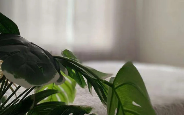 Квартира на Омской Улице 64