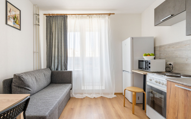 Квартира в Песочном НИИ Петрова