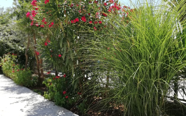 Tivat Luxury Apartments