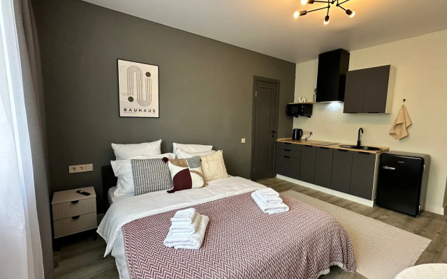 Квартира в центре города