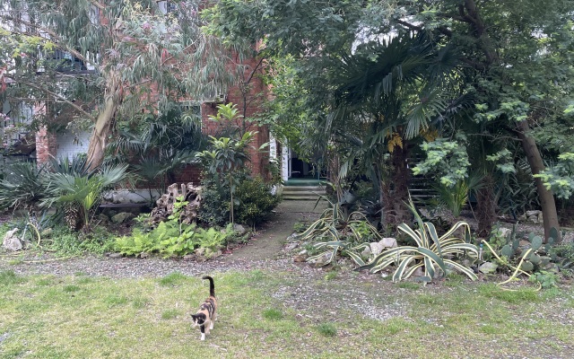 Guest house Inkit