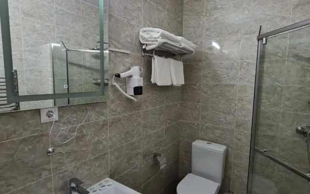 Отель Астэри