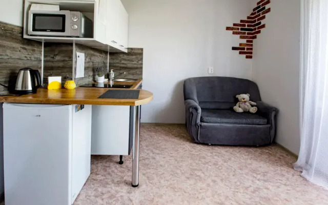 Апартаменты Светлые апартаменты у автовокзала