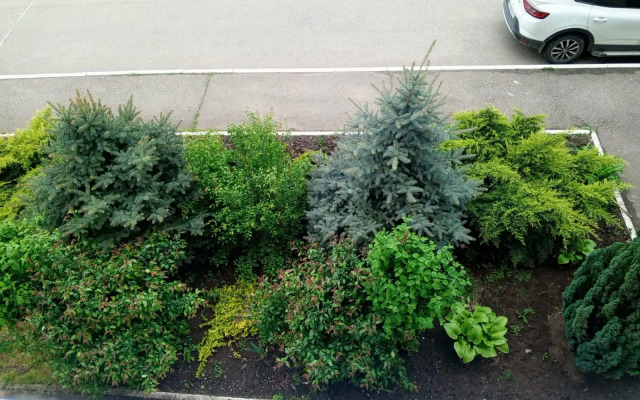 Квартира Дизайнерская Майкоп