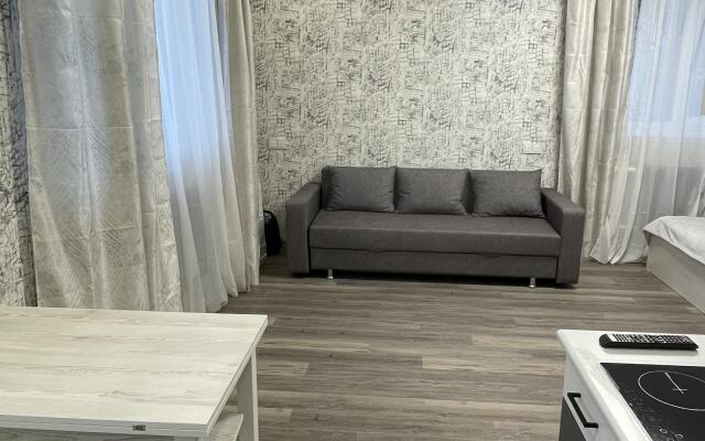 Dvukhkomnatnaya kvartira na Telmana 2A Flat