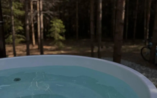 Частный дом Дом с горячей купелью