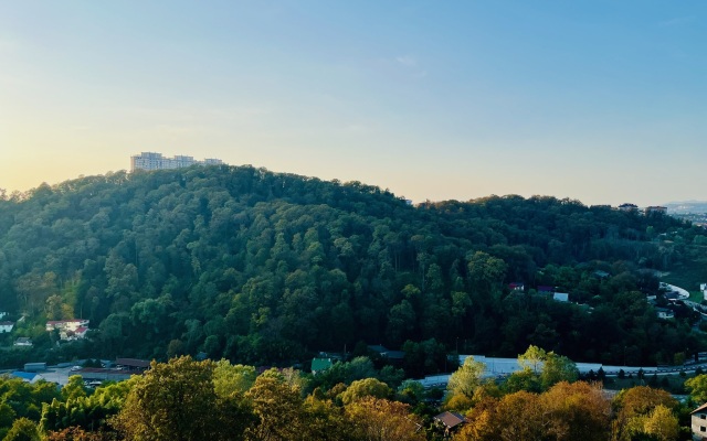 Sochi Park Gosti-24 Flat