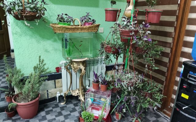 Green House Hotel