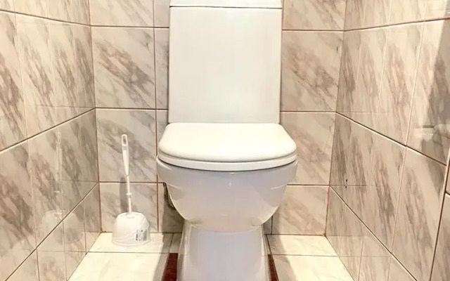 Servisnye apartamenty na prospekte Lenina Flat