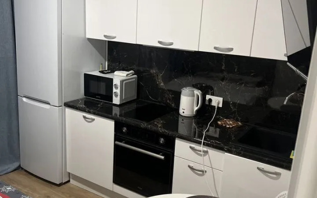 Апартаменты студия Loft на проспекте Куприна 30к9