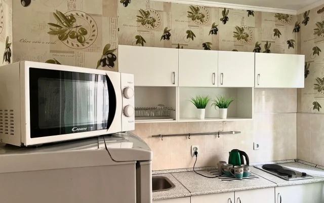 Kvartira Na Pushkina 124/2 Apartments