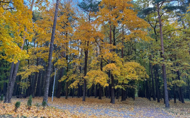 Апартаменты в ЖК Парк Челюскинцев