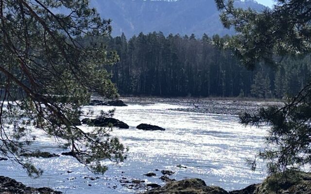 Отель Парк-отель Пилот