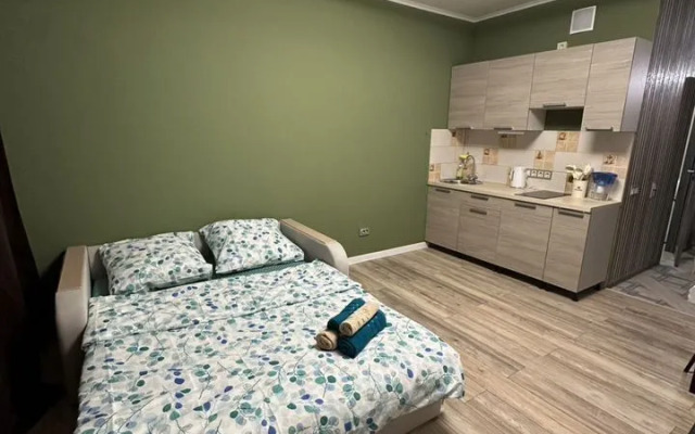 Na Kolmovskoy Naberezhnoy 71a Flat