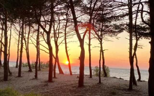 gostevyye doma camping