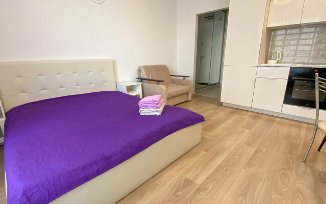 Uyutnaya Studiya V Novom Dome Apartments