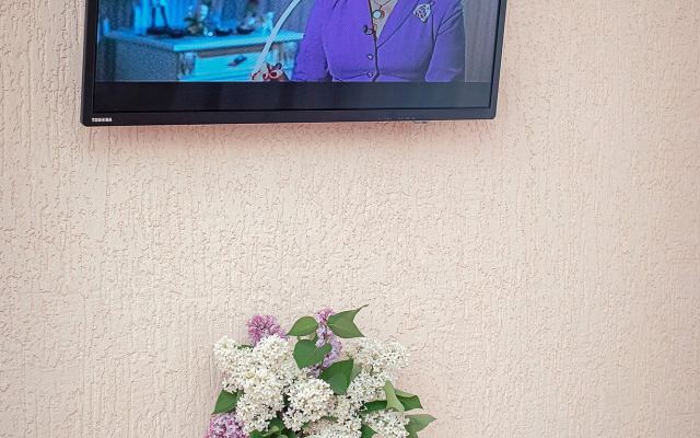 Апартаменты Floris Студия 1 на Невском