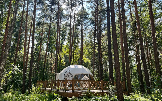 Парк-отель Хвоя