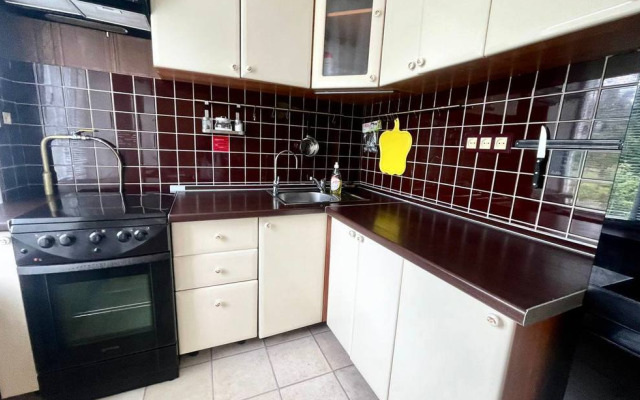 Na Ulitse Zhukovskogo 10 Flat