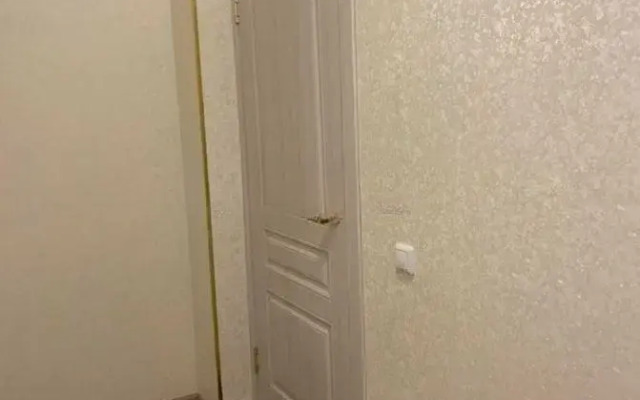 1-Komnatnaya Na Ulitse Engelsa 69a Flat