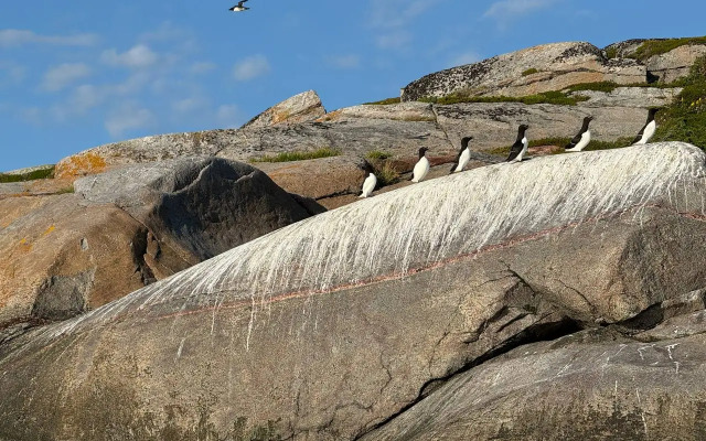 База отдыха Лопский берег