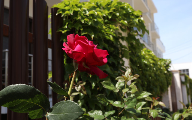 Гостевой Дом Династия (корпус 2)