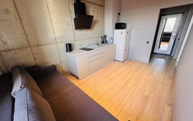 Апартаменты Лофт с видом на телебашню